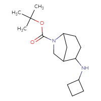 C16H28N2O2 C16H28N2O2