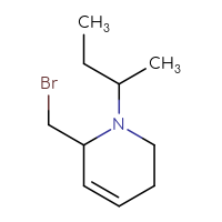 C10H18BrN