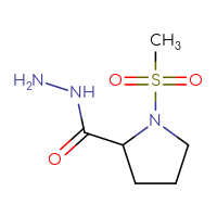 Chemical structure of 1-methanesulfonylpyrrolidine-2-carbohydrazide - CSSB00000217423