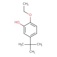 Chemical structure of 5-tert-butyl-2-ethoxyphenol - CSSB00015708409