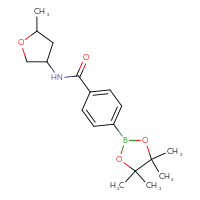 Chemical structure of N-(5-methyloxolan-3-yl)-4-(4,4,5,5-tetramethyl-1,3,2-dioxaborolan-2-yl)benzamide - CSSB02526921028