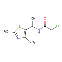 Chemical structure of 2-chloro-N-[1-(2,4-dimethyl-1,3-thiazol-5-yl)ethyl]acetamide - CSSB00011426722