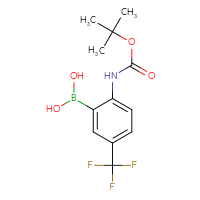 Chemical structure of (2-{[(tert-butoxy)carbonyl]amino}-5-(trifluoromethyl)phenyl)boronic acid - CSSB00010996463