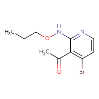C10H13BrN2O2