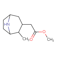 C11H19NO2
