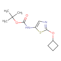 Chemical structure of tert-butyl N-(2-cyclobutoxy-1,3-thiazol-5-yl)carbamate - CSSB21381576978