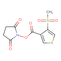 Chemical structure of 2,5-dioxopyrrolidin-1-yl 4-methanesulfonylthiophene-3-carboxylate - CSSB02536637814