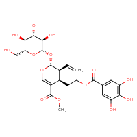 Chemical structure of methyl (2R,3S,4R)-3-ethenyl-2-{[(2S,3R,4S,5S,6R)-3,4,5-trihydroxy-6-(hydroxymethyl)oxan-2-yl]oxy}-4-[2-(3,4,5-trihydroxybenzoyloxy)ethyl]-3,4-dihydro-2H-pyran-5-carboxylate - CSSB00020666833