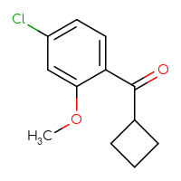 Chemical structure of (4-chloro-2-methoxyphenyl)(cyclobutyl)methanone - CSSB00013785335