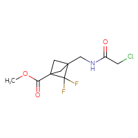 Chemical structure of methyl 3-[(2-chloroacetamido)methyl]-2,2-difluorobicyclo[1.1.1]pentane-1-carboxylate - CSSB21332068529