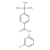 Chemical structure of 4-tert-butyl-N-(3-chlorophenyl)benzamide - CSSB00104103772