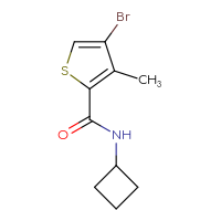 Chemical structure of 4-bromo-N-cyclobutyl-3-methylthiophene-2-carboxamide - CSSB00085643924