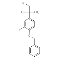 Chemical structure of 1-(benzyloxy)-2-iodo-4-(2-methylbutan-2-yl)benzene - CSSB20488596079