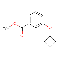 Chemical structure of methyl 3-cyclobutoxybenzoate - CSSB00010745859