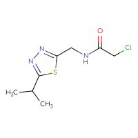 Chemical structure of 2-chloro-N-{[5-(propan-2-yl)-1,3,4-thiadiazol-2-yl]methyl}acetamide - CSSB01673262808