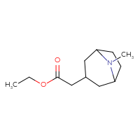 C12H21NO2