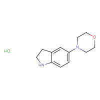Chemical structure of 5-(morpholin-4-yl)-2,3-dihydro-1H-indole hydrochloride - CSSB00016993631