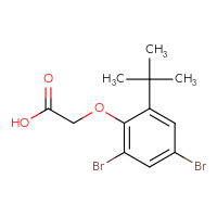 Chemical structure of 2-(2,4-dibromo-6-tert-butylphenoxy)acetic acid - CSSB20101694113