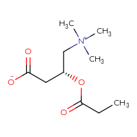 C10H19NO4