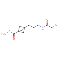 Chemical structure of methyl 3-[3-(2-chloroacetamido)propyl]bicyclo[1.1.1]pentane-1-carboxylate - CSSB21332098391