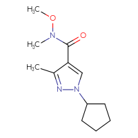 Chemical structure of 1-cyclopentyl-N-methoxy-N,3-dimethyl-1H-pyrazole-4-carboxamide - CSSB21151591898