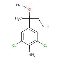 C10H14Cl2N2O