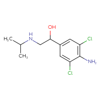 C11H16Cl2N2O