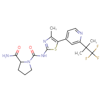 Chemical structure of N1-{4-methyl-5-[2-(1,1,1-trifluoro-2-methylpropan-2-yl)pyridin-4-yl]-1,3-thiazol-2-yl}pyrrolidine-1,2-dicarboxamide - CSSB00020668005