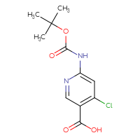 Chemical structure of 6-{[(tert-butoxy)carbonyl]amino}-4-chloropyridine-3-carboxylic acid - CSSB00010134063