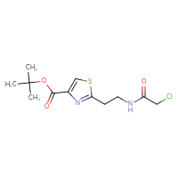 Chemical structure of tert-butyl 2-[2-(2-chloroacetamido)ethyl]-1,3-thiazole-4-carboxylate - CSSB21332068519