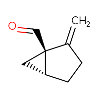 C8H10O