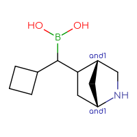 C11H20BNO2