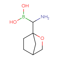 C7H14BNO3