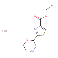 Chemical structure of ethyl 2-(morpholin-2-yl)-1,3-thiazole-4-carboxylate hydrobromide - CSSB00160531410