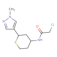 Chemical structure of 2-chloro-N-[2-(1-methyl-1H-pyrazol-4-yl)thian-4-yl]acetamide - CSSB21332081956