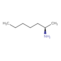 C7H17N