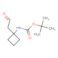 C11H19NO3