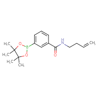 Chemical structure of N-(but-3-en-1-yl)-3-(4,4,5,5-tetramethyl-1,3,2-dioxaborolan-2-yl)benzamide - CSSB02148211173