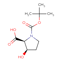 C10H17NO5