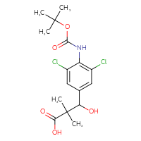 C16H21Cl2NO5