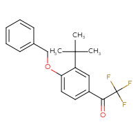 Chemical structure of 1-[4-(benzyloxy)-3-tert-butylphenyl]-2,2,2-trifluoroethan-1-one - CSSB21103684101