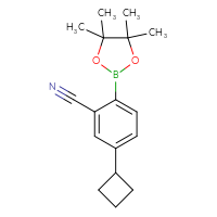 Chemical structure of 5-cyclobutyl-2-(4,4,5,5-tetramethyl-1,3,2-dioxaborolan-2-yl)benzonitrile - CSSB00010045449