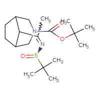 Chemical structure of tert-butyl 8-(1-{[(R)-2-methylpropane-2-sulfinyl]imino}ethyl)-3-azabicyclo[3.2.1]octane-3-carboxylate - CSSB21331809778