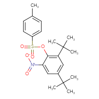 Chemical structure of 2,4-di-tert-butyl-6-nitrophenyl 4-methylbenzene-1-sulfonate - CSSB21432523313