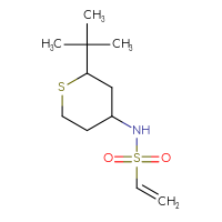 Chemical structure of N-(2-tert-butylthian-4-yl)ethene-1-sulfonamide - CSMB06649307534