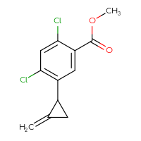 C12H10Cl2O2