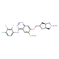 C24H25Cl2FN4O2