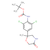 C16H20Cl2N2O4