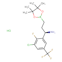 C16H22BCl2F4NO2