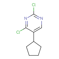 C9H10Cl2N2